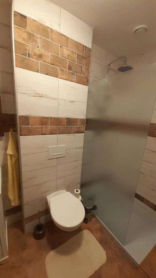 Rodinny Pension U Soudku Rudník 外观 照片